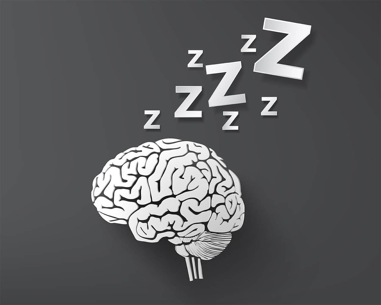 睡眠と脳の関係